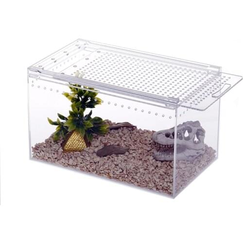 1PCS 4 Size Acrylic Reptile Feeding Box Insect Box Praying Mantis Reptile Home Insect Cage Reptile Terrariums