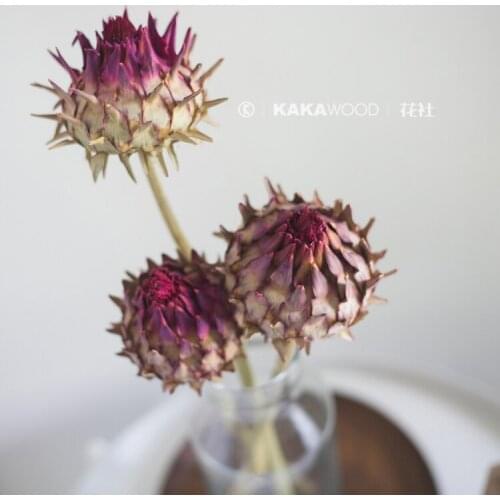 Northern European-Style Japanese-Style High-End Imported Dried Plant Flowers Dry Bouquet Photo Matching South African Royal