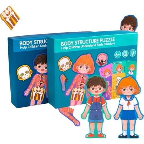 Children Biological Jigsaw Puzzle Toys Wooden Set Human Body Puzzles Boards Games Educational Learning Toys Family Teaching Aids