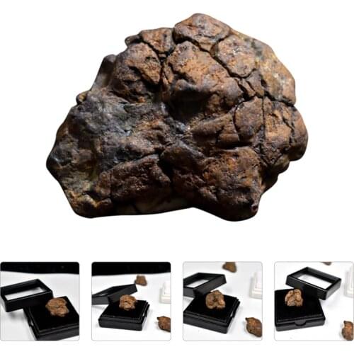 Lithosiderite Specimen Real Meteorite from Space Science Ornament for School