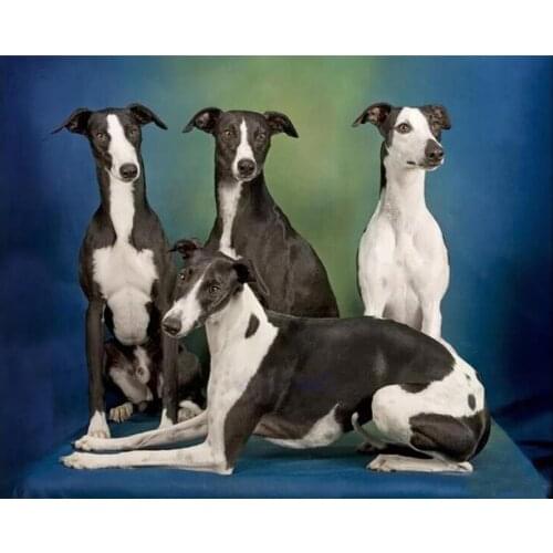 Full square round Diamond Embroidery Whippet dog pet Diy 5D Diamond Painting Animal Diamond Mosaic Needlework wall sticker L237
