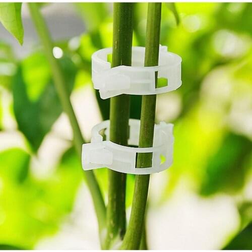 Durable 30mm Plastic Plant Support Clips For Types Plants Hanging Vine Garden Greenhouse Vegetables Garden Ornament