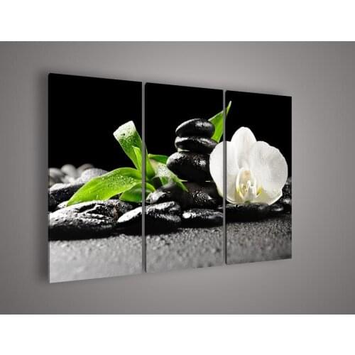 3 Panel Wall Art Botanical White Orchid Picture Oil Painting On Canvas Paintings Contemporary Decorative Paper