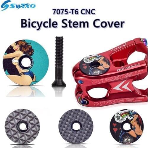 SWTXO Bicycle Bearings