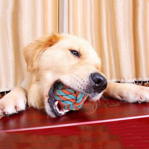 Dog Chewing Toy Cotton Rope Ball Molar Teeth Cleaning Kit Tough Strong Knot Bite Toy Interactive Puppy Training Fun Supplies