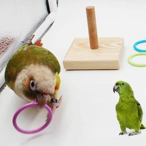 2021 Pet Bird Wooden Platform Plastic Ring Intelligence Training Chew Toy Log Color In-line Stand Parrot Standing Resting Table