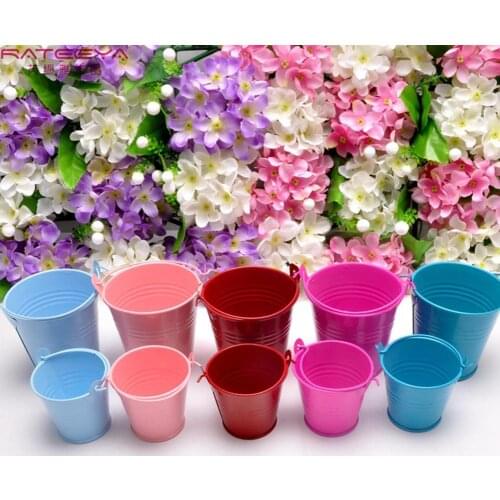 Mini Flower Metal Hanging Pots Garden Balcony Wall Vertical Hang Bucket Iron Holder Basket With Removable Tin Home Decor