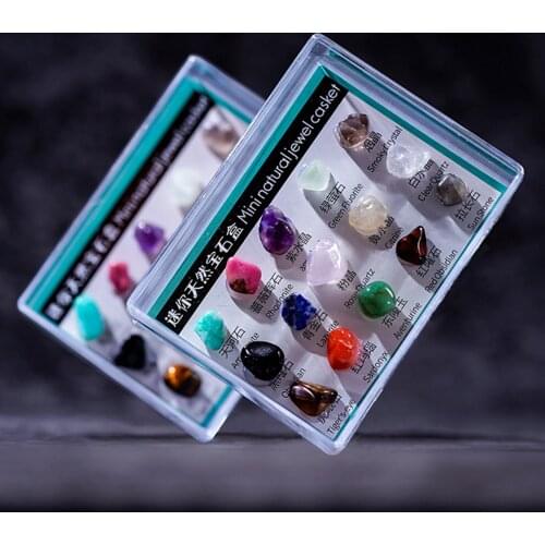 Polished Natural Mineral Rock and Collection in Box for Kids Ages 8 and up