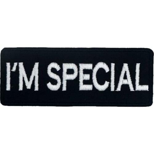 I AM SPECIAL iron on backing punk skull embroidered rider biker motorcycle patches for back vest