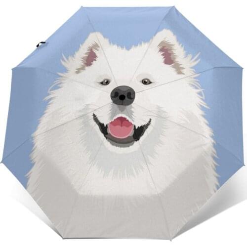 Automatic Umbrella Samoyed The Buddy Dog three-fold umbrella women men rain umbrella