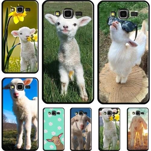 Cute Goat Animal For Samsung Galaxy J7 2017 J1 J3 J5 A3 A5 2016 J4 J6 A6 A8 Plus J8 A7 A9 2018 Case Coque