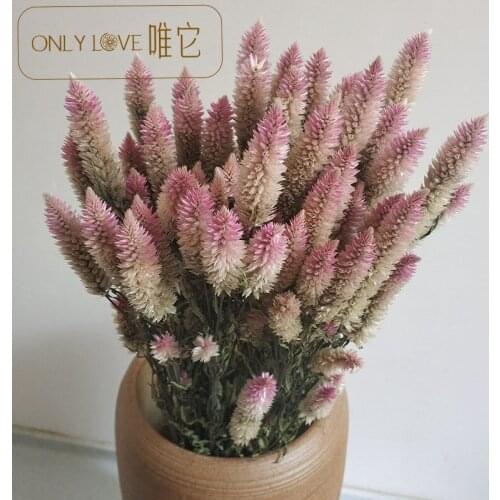 2pcs dry flower bundle multi head Phoenix Tail home decoration net safflower bundle ins style party accessories