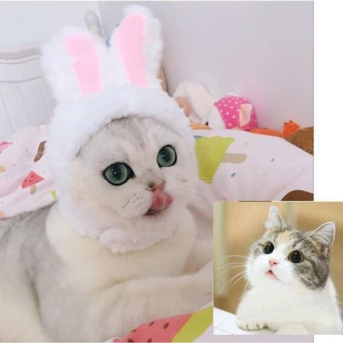 Funny Pet Cat Clothes Cosplay Cap Clothes for Cat Rabbit Hat Cat Costume Warm Cap New Year Party Christmas Cosplay Accessories