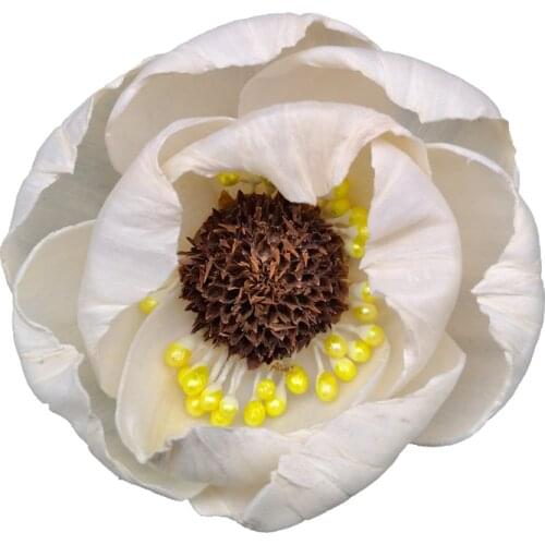 3PCS/lot Fire-free Scented Rattan Reed Diffusers Aromatherapy DIY Home Decoration Flower Arrangement Supplies