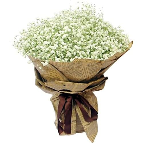 15-22‘’ 100g Natural Babys Breath Flowers Bouquet Fresh Real Touch Forever Baby‘s Breath Flower For DIY Eternal Flower Material