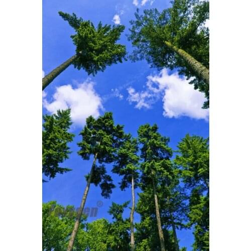 Pop stretch ceiling film false ceiling price for ceiling sheet from china manufacturer