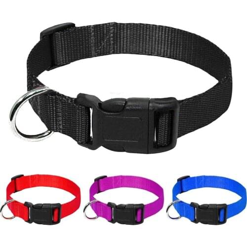 Dog Collars Premium Nylon Pet Cat Dog Collar Adjustable Dog Collars for Chihuahua French Bulldog Pitbull Labrador Pet Products
