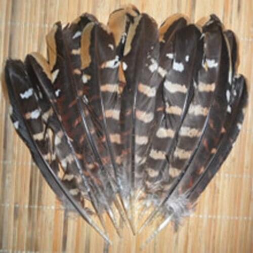 Wholesale perfect 10pcs Rare natural Reevess Pheasant feathers 13-20cm Decorative diy