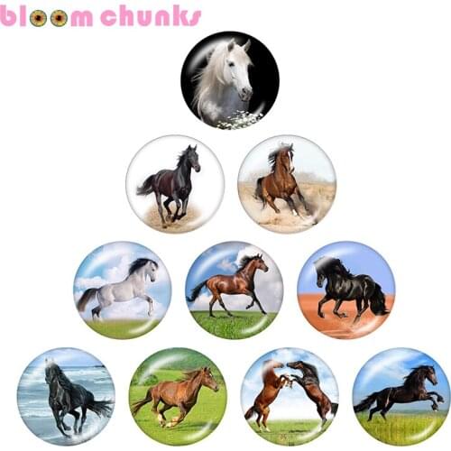 Horse animal 10pcs mixed 12mm/18mm/20mm/25mm Round photo glass cabochon demo flat back Making findings S1610