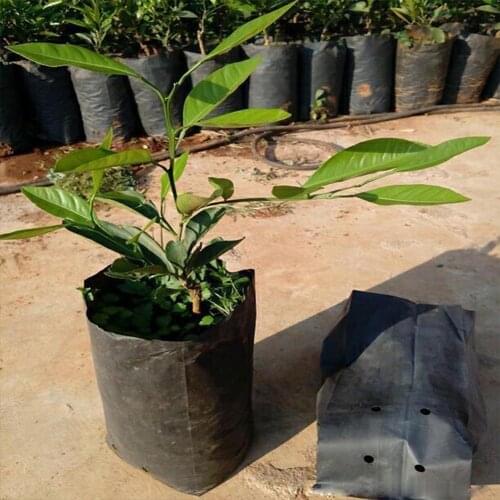 100 Pcs PE Plastic Nursery Bags Plant Grow Bags Seedling Pots Eco-Friendly Garden With Breathable Holes Black Planting Bags