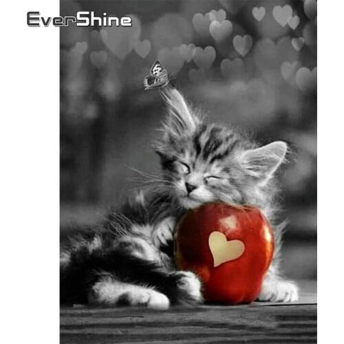 Evershine 5D DIY Full Square Round Diamond Embroidery Cat Diamond Painting Animal Rhinestones Pictures Handicrafts Gift