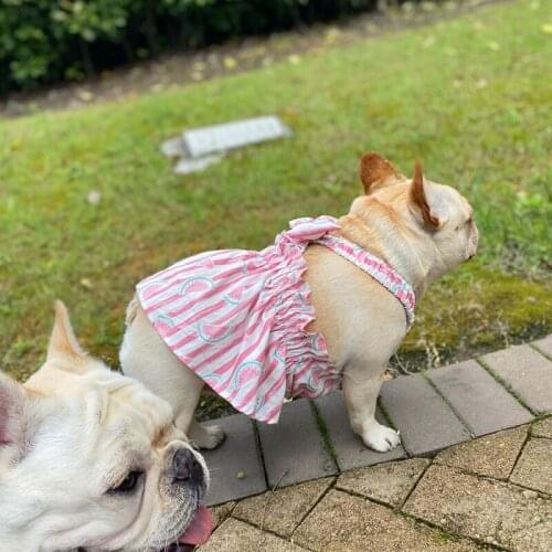 Summer Pug Dog Clothes French Bulldog Dress Skirt Poodle Schnauzer Welsh Corgi Shiba Inu Dog Clothing Pet Dresses Costume Outfit