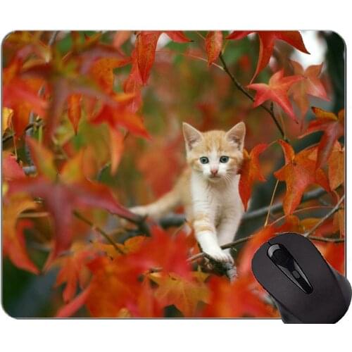 Gaming Mouse Pad Custom,Baby Animal Kitten leaves cat autumn Non-Slip Rubber Base Mousepad