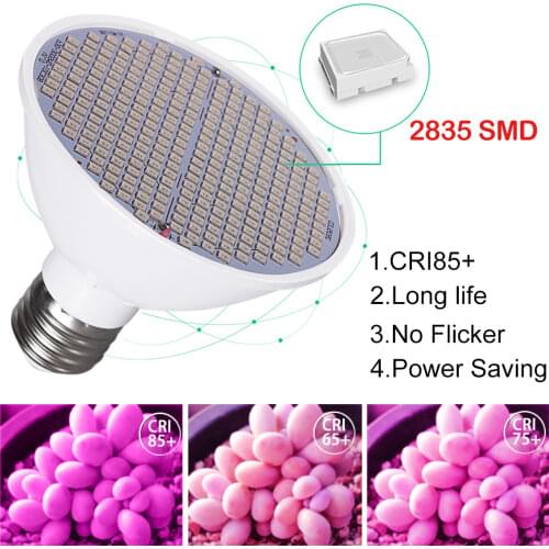 ODYCXS Professional Lighting