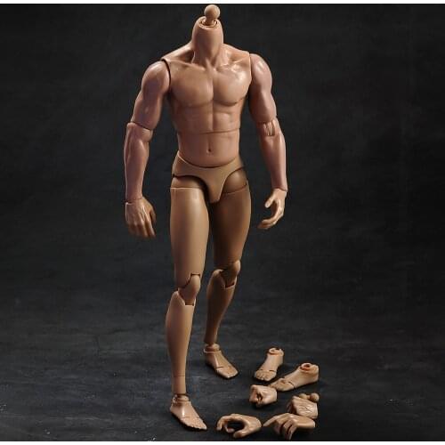 1/6 Male body muscle type with neck version TQ230for 12 inch action figure body accessories