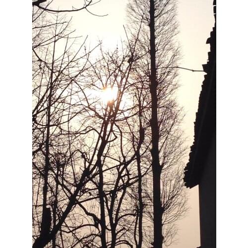 Specail request link