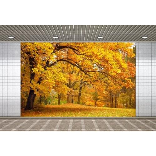 Lyavshi Photography Backgrounds Fall Autumn Yellow Forest Trees Road Scenic Photographic Backdrop Decor Photocall Photo Studio