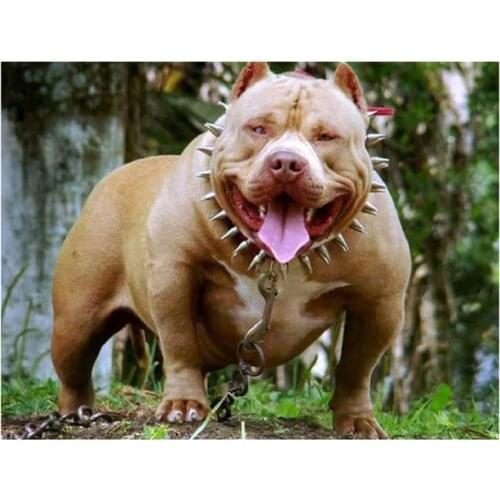 Diamond Embroidery American bully pitbull 5D Diy Full square Round Diamond Painting dog pet mosaic Pattern Cross StitchZP-1882