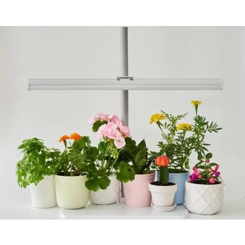 Лампы для растений Здоровья Клад China At AliExpress