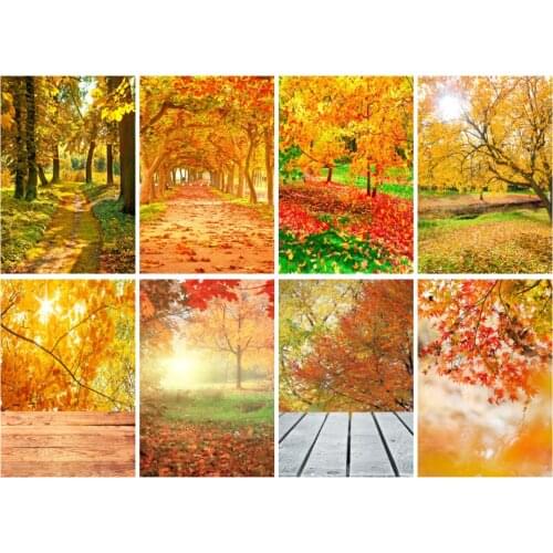 Autumn Red Maple Leaf Background Vinyl Holiday Party Photography Living Room Bedroom Bedside Decoration Beach Mat