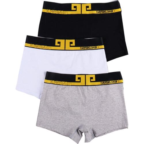 HaleyChan Sports Stripe Cotton Briefs 3 Pack Boxer Briefs for Tomboy Trans Lesbian Transgender Ftm Underwear Panties Women