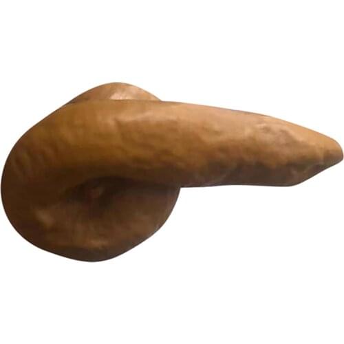 Funny Pool Thermometer Floating Poop Prank Pool and Hot Tub Thermometer for Spa Tub Pond ASD88