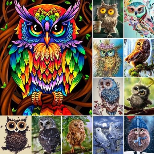 5D DIY Diamond Painting Owl Cross Stitch Kit Full Drill Square Embroidery Animal Mosaic Art Pictures of Rhinestones Decor Gift