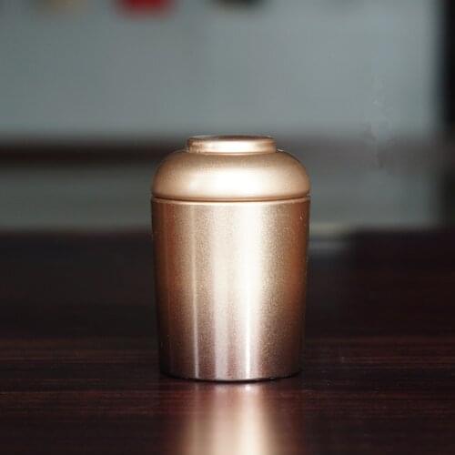 Pet Memorial Iron Urn For Dogs Cats Birds Cremation Ashes Openable Ashes Holder Small Animals Mouse Rabbits Fish Funeral Casket