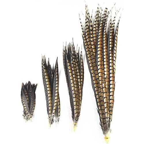 High quality Natural Lady Amherst Pheasant Feathers 10Pcs/Lot10-120CM jewelry Wedding Decorations plumes diy feathers for crafts
