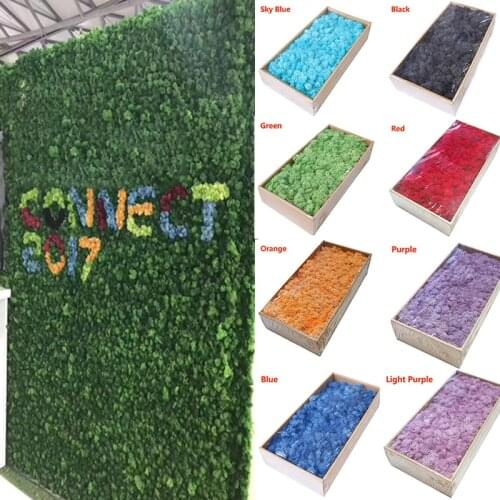 500G Green Moss Plants/Grass Flower For Wall Landscape Wedding Christmas Garden Autumn Decor Fake Plant Moss