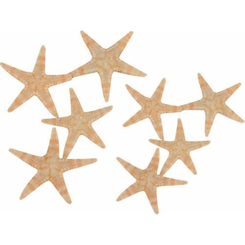 100pcs 1-2cm natural starfish shell beach crafts natural starfish beach wedding decoration crafts home decoration epoxy resin