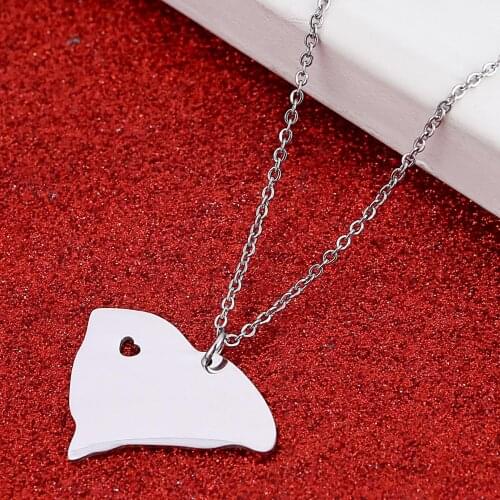 Stainless Steel Trendy South Carolina Map Pendant Necklace Silver Color South Carolina Charm Jewelry