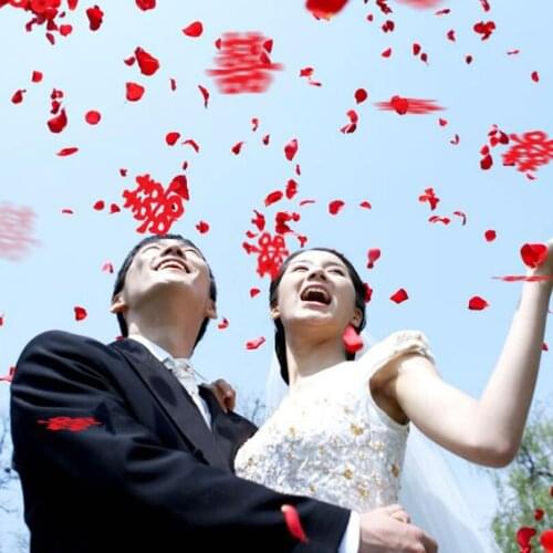 1000PCS/Lot 5cm*5cm Silk Rose Petals for Wedding Decoration Petalos De Romantic Artificial Rose Flower Wedding Accessories