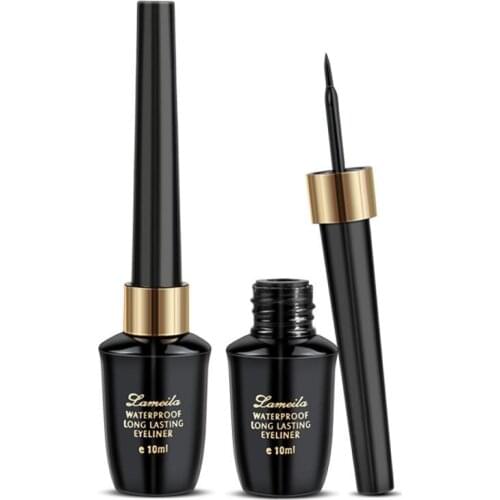 Professional Black Eyeliner Quick-drying Waterproof Pen Long-lasting Not Blooming Liquid Lady Eyeliner Smooth Makeup Tool TSLM2