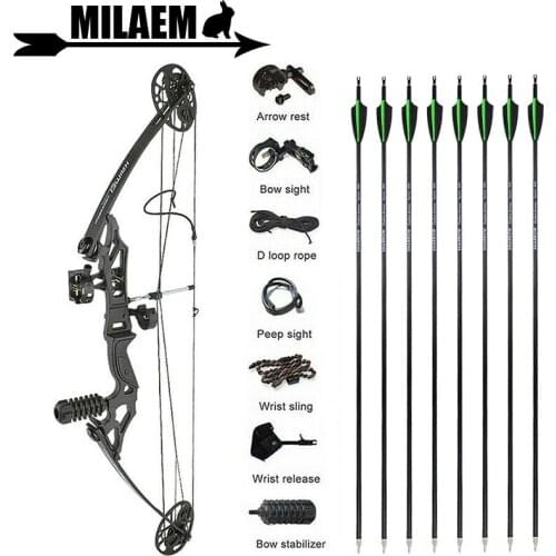 Archery Compound Bow Arrows Set 35-50lbs Adjustable Hunting Bow 8pcs spine 500 Carbon Arrows Bow Sight Shooting Accessories