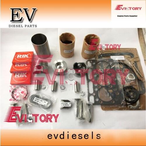 EV D1462 engine overhaul rebuild kit for Kubota Tractor