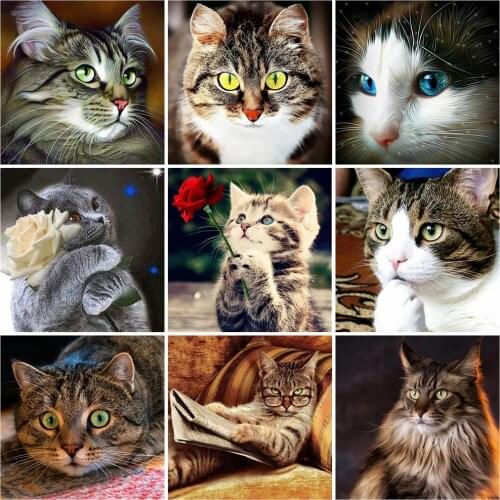 Evershine 5D DIY Diamond Embroidery Cat Cross Stitch Kit Diamond Painting Animal Mosaic Pictures Of Rhinestones Handicrafts