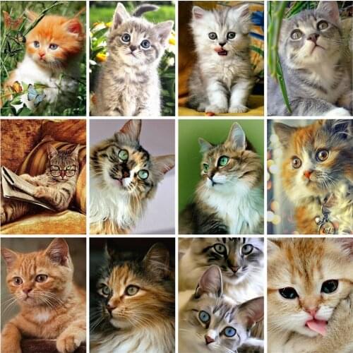 EverShine Diamond Mosaic Cat Cross Stitch 5D DIY Art Painting Diamond Embroidery Full Square Drill Animal Childrens Room Decor