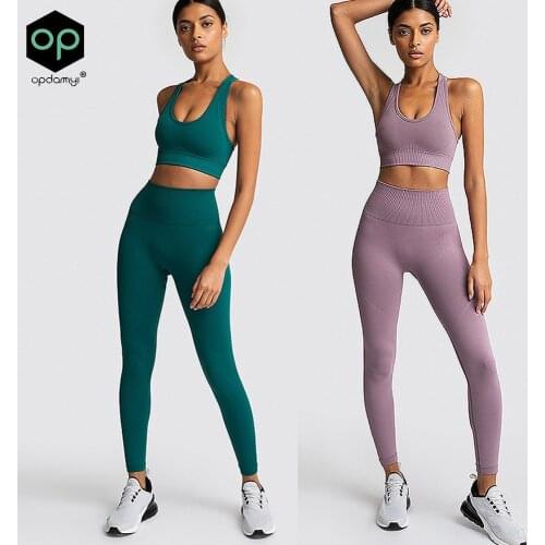 2 Piece Set Women Tracksuit Seamless Yoga Suits Dense Fabric Fitness Gym Clothing Sports Bras Leggings Workout Clothes For Women