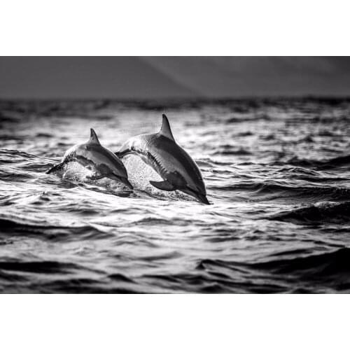 Beautiful dolphins The wooden puzzle 1000 pieces ersion jigsaw puzzle white card adult childrens educational toys